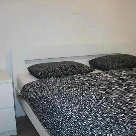 Jog Zecevo